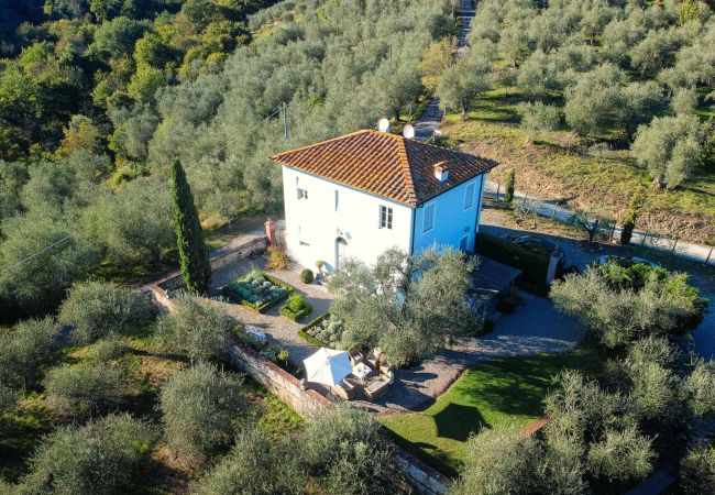 Вилла на Lucca - Romantic Farmhouse with Oversize Panoramic Pool Вилла на Lucca - Romantic Farmhouse with Oversize Panoramic Pool