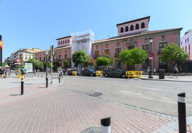 Апартаменты на Madrid - Piso tipo loft de 1 dormitorio en el centro de Madrid. Temporal Апартаменты на Madrid - Piso tipo loft de 1 dormitorio en el centro de Madrid. Temporal