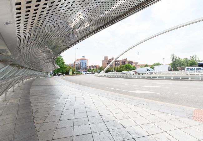 Апартаменты на Madrid - Piso moderno de 1 dormitorio con ventanales y sofá cama para invitados en Madrid.Temporal  Апартаменты на Madrid - Piso moderno de 1 dormitorio con ventanales y sofá cama para invitados en Madrid.Temporal