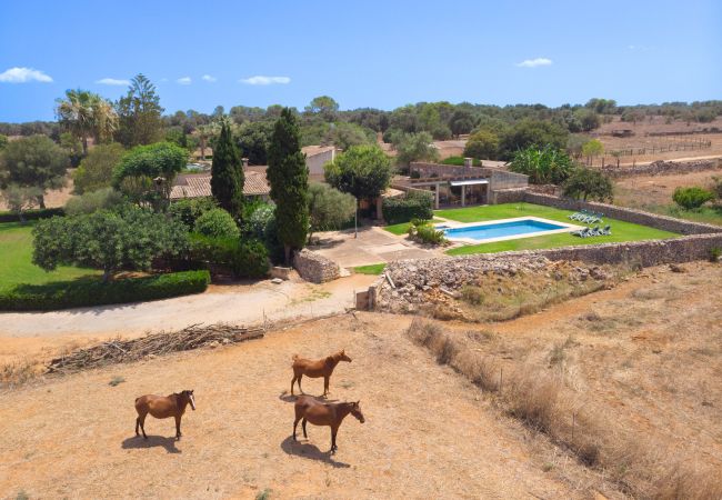 Особняк на Muro - 278 Son Parera d abaix by Mallorca Charme  Особняк на Muro - 278 Son Parera d abaix by Mallorca Charme