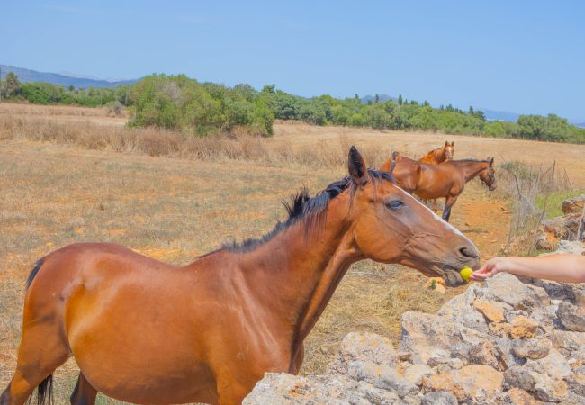 Особняк на Muro - 278 Son Parera d abaix by Mallorca Charme  Особняк на Muro - 278 Son Parera d abaix by Mallorca Charme