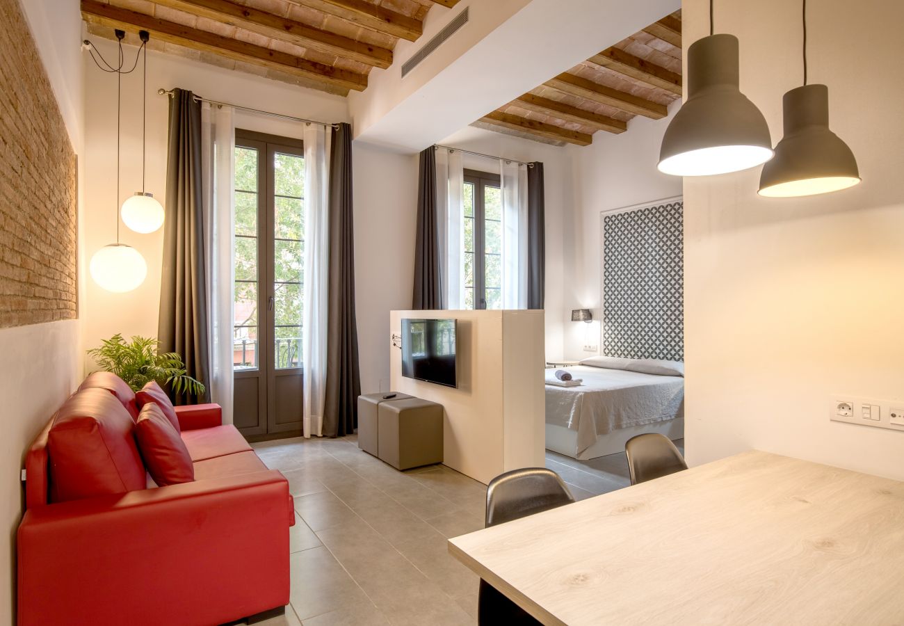 Апартаменты на Барселона / Barcelona - DELUXE SUITE