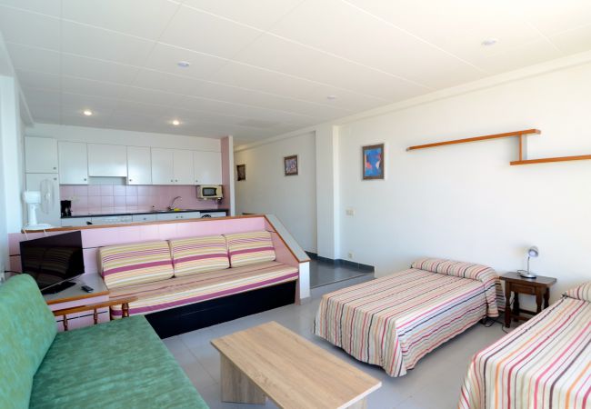 Studio i Estartit - NAUTIC ESTUDI BX-1 Studio i Estartit - NAUTIC ESTUDI BX-1