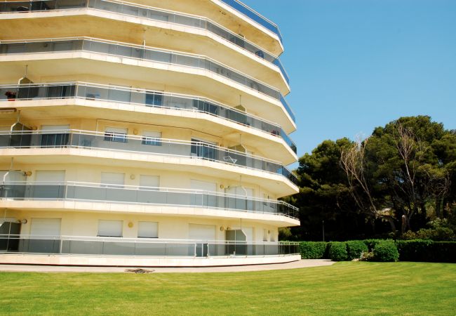 Lägenhet i Estartit - MEDES PLATJA BX-1 Lägenhet i Estartit - MEDES PLATJA BX-1