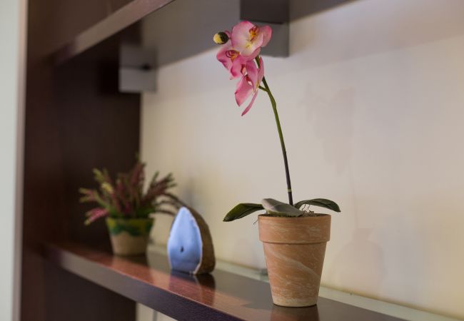 Lägenhet i Barcelona - MARQUES, moderno piso renovado de 4 dormitorios en alquiler por días en Barcelona centro, Eixample, Sant Antoni. Lägenhet i Barcelona - MARQUES, moderno piso renovado de 4 dormitorios en alquiler por días en Barcelona centro, Eixample, Sant Antoni.