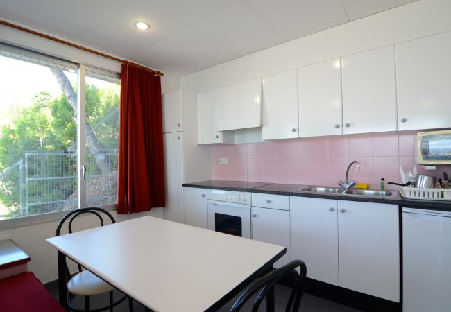 Studio i Estartit - NAUTIC ESTUDI BX-4 Studio i Estartit - NAUTIC ESTUDI BX-4