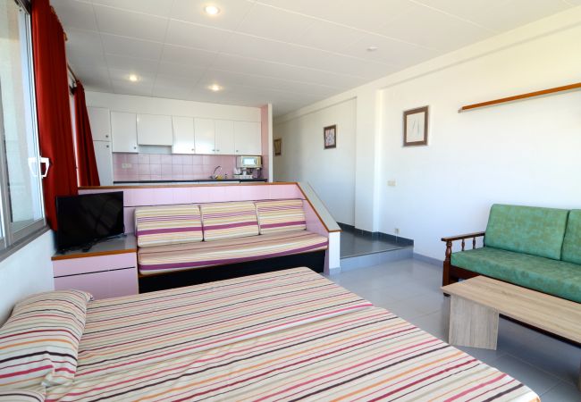 Studio i Estartit - NAUTIC ESTUDI BX-4 Studio i Estartit - NAUTIC ESTUDI BX-4