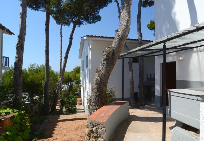 Lägenhet i Estartit - ILSE APARTAMENT Lägenhet i Estartit - ILSE APARTAMENT