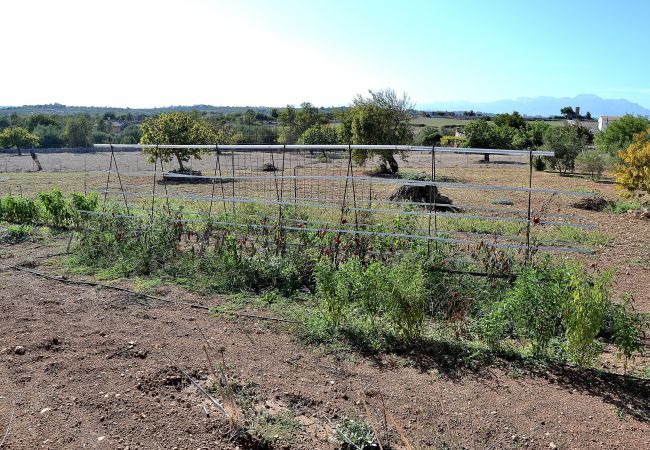 Sommarhus i Santa Margalida - Es Bosquerró 054 fantástica finca con piscina vallada, zona infantil, terraza, barbacoa y WiFi Sommarhus i Santa Margalida - Es Bosquerró 054 fantástica finca con piscina vallada, zona infantil, terraza, barbacoa y WiFi