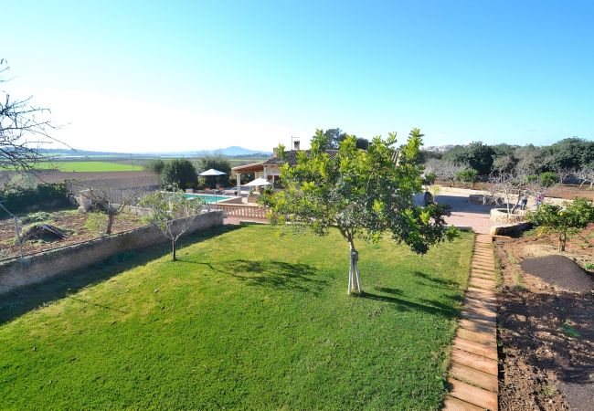 Sommarhus i Ariany - Sa Rota 078 fantástica finca con piscina privada, jardín, ping pong y fibra óptica Sommarhus i Ariany - Sa Rota 078 fantástica finca con piscina privada, jardín, ping pong y fibra óptica