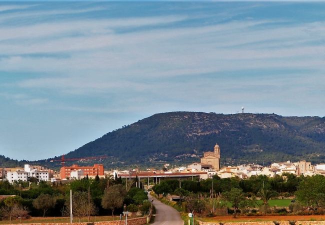 Sommarhus i Llucmajor - Son Antem 420 fantástica finca con piscina privada, terraza, barbacoa y aire acondicionado Sommarhus i Llucmajor - Son Antem 420 fantástica finca con piscina privada, terraza, barbacoa y aire acondicionado