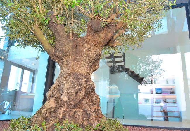 Stuga i Buger - Montblau 049 exclusiva villa con piscina privada, jacuzzi, barbacoa y aire acondicionado Stuga i Buger - Montblau 049 exclusiva villa con piscina privada, jacuzzi, barbacoa y aire acondicionado