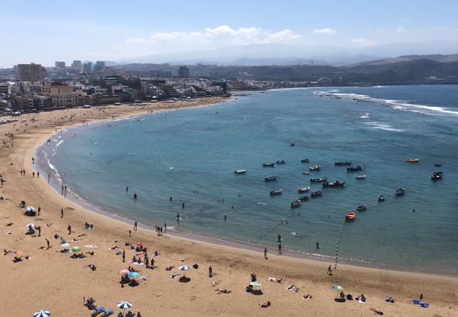 Stuga i Las Palmas de Gran Canaria - Castle and Park view  By CanariasGetaway  Stuga i Las Palmas de Gran Canaria - Castle and Park view  By CanariasGetaway