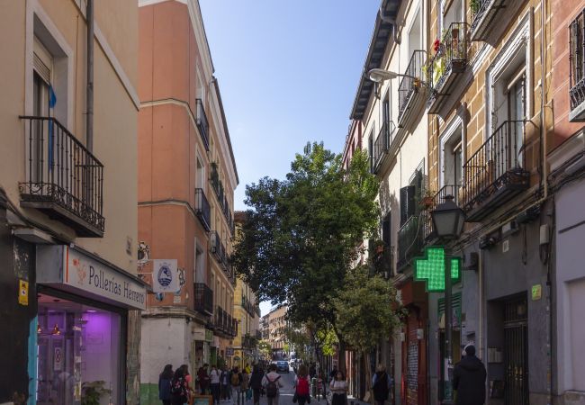 Lägenhet i Madrid - Apartment Madrid Downtown Tribunal-Malasaña-Chueca M (EST8) Lägenhet i Madrid - Apartment Madrid Downtown Tribunal-Malasaña-Chueca M (EST8)