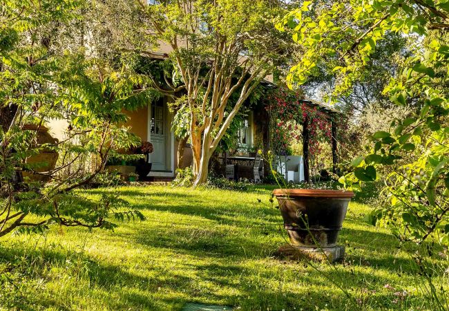 Villa i Lucca - VILLA D'AMICO, charming indulgence overlooking Lucca Town Centre Villa i Lucca - VILLA D'AMICO, charming indulgence overlooking Lucca Town Centre