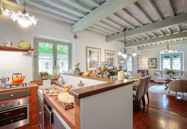 Villa i Lucca - VILLA D'AMICO, charming indulgence overlooking Lucca Town Centre Villa i Lucca - VILLA D'AMICO, charming indulgence overlooking Lucca Town Centre