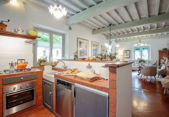 Villa i Lucca - VILLA D'AMICO, charming indulgence overlooking Lucca Town Centre Villa i Lucca - VILLA D'AMICO, charming indulgence overlooking Lucca Town Centre