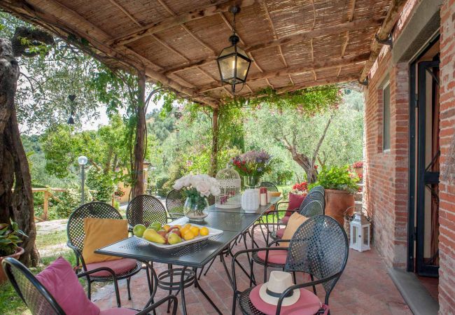 Villa i Aquilea - Romantic farmhouse villa in Lucca to sleep 5 guests with private pool and wi-fi Villa i Aquilea - Romantic farmhouse villa in Lucca to sleep 5 guests with private pool and wi-fi
