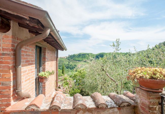 Villa i Aquilea - Romantic farmhouse villa in Lucca to sleep 5 guests with private pool and wi-fi Villa i Aquilea - Romantic farmhouse villa in Lucca to sleep 5 guests with private pool and wi-fi