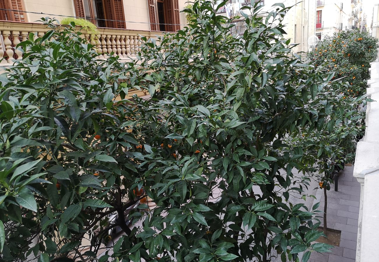 Lägenhet i Barcelona - Piso renovado con encanto en alquiler vacacional en Barcelona centro, Gracia Lägenhet i Barcelona - Piso renovado con encanto en alquiler vacacional en Barcelona centro, Gracia