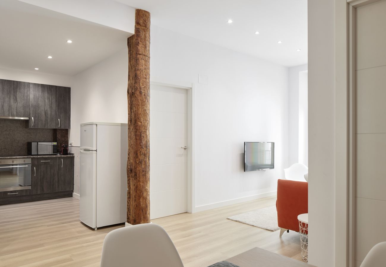 Lägenhet i San Sebastián - ETXAIDE - Basque Stay Lägenhet i San Sebastián - ETXAIDE - Basque Stay