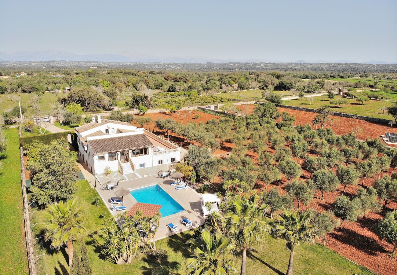 Sommarhus i Ariany - Calderitx 253 fantástica finca con piscina privada, zona infantil, barbacoa y terraza Sommarhus i Ariany - Calderitx 253 fantástica finca con piscina privada, zona infantil, barbacoa y terraza