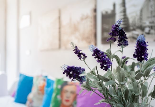 Studio i Madrid - Estudio en planta baja en Goya, Madrid Studio i Madrid - Estudio en planta baja en Goya, Madrid