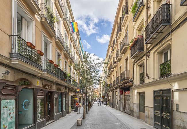 Lägenhet i Madrid - Hermoso apartamento  Plaza Zerolo INF2E Lägenhet i Madrid - Hermoso apartamento  Plaza Zerolo INF2E