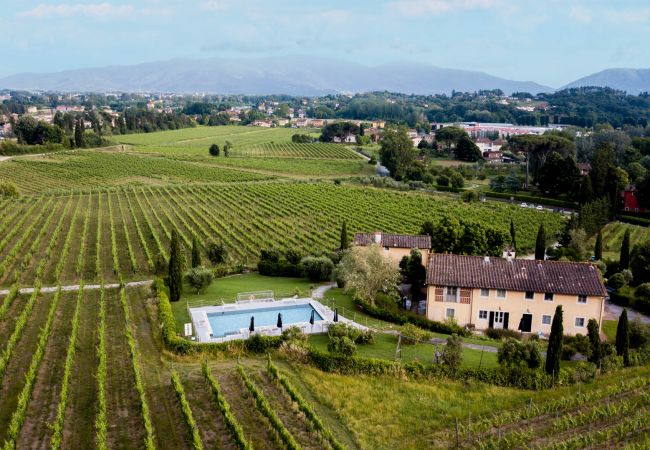 Villa i Monte San quirico - 3 Bedrooms Farmhouse with Shared Pool in the Fattoria Sardi Wine Resort in Lucca Villa i Monte San quirico - 3 Bedrooms Farmhouse with Shared Pool in the Fattoria Sardi Wine Resort in Lucca