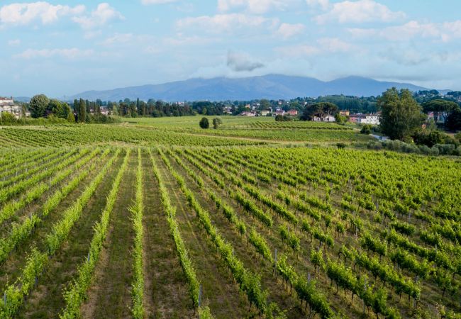 Villa i Monte San quirico - 3 Bedrooms Farmhouse with Shared Pool in the Fattoria Sardi Wine Resort in Lucca Villa i Monte San quirico - 3 Bedrooms Farmhouse with Shared Pool in the Fattoria Sardi Wine Resort in Lucca