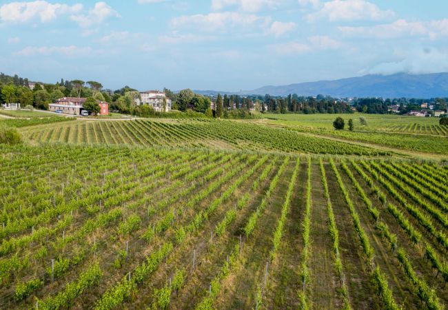 Villa i Monte San quirico - 3 Bedrooms Farmhouse with Shared Pool in the Fattoria Sardi Wine Resort in Lucca Villa i Monte San quirico - 3 Bedrooms Farmhouse with Shared Pool in the Fattoria Sardi Wine Resort in Lucca
