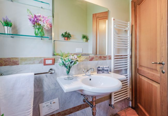 Lägenhet i Monte San quirico - Maria Farmhouse Apartment in Wine Resort in Lucca Lägenhet i Monte San quirico - Maria Farmhouse Apartment in Wine Resort in Lucca