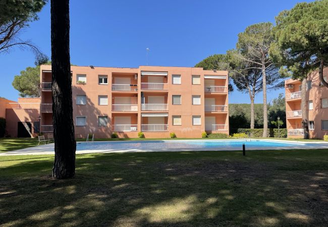 Studio i Pals - ESTUDI SWING Studio i Pals - ESTUDI SWING
