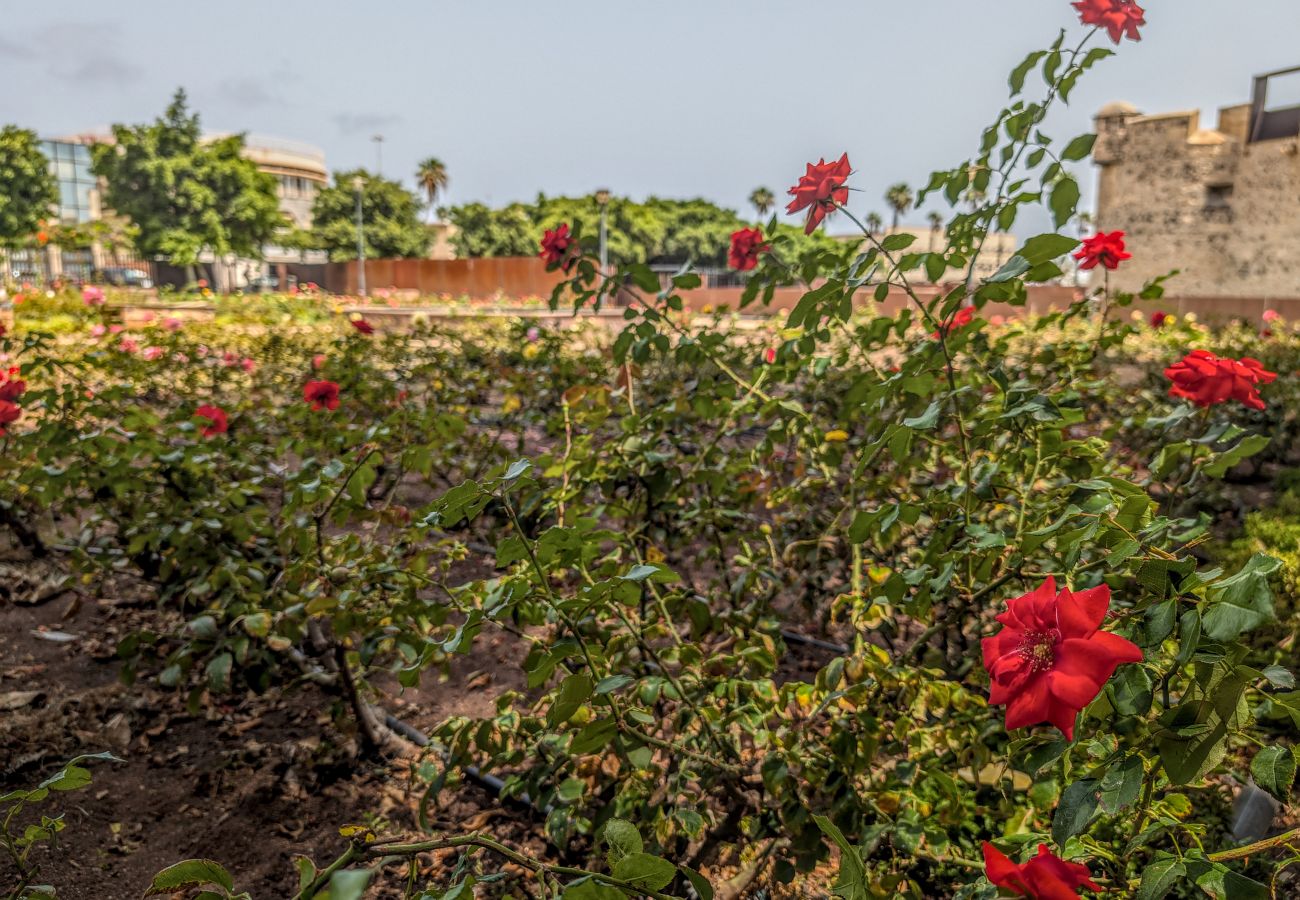 Stuga i Las Palmas de Gran Canaria - Castle Views By CanariasGetaway Stuga i Las Palmas de Gran Canaria - Castle Views By CanariasGetaway