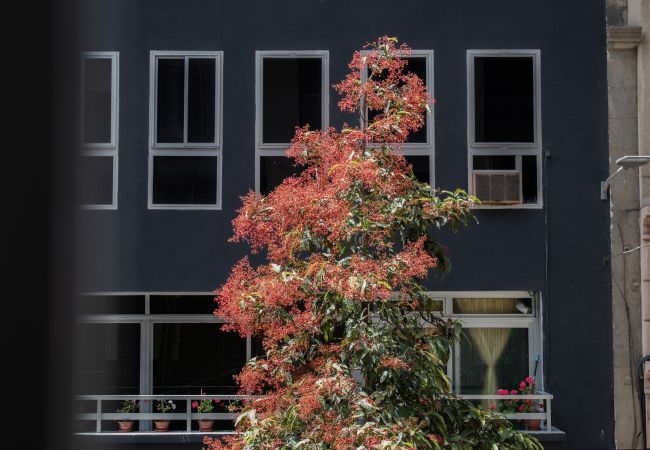 Stuga i Las Palmas de Gran Canaria - Rejon Hideaway A By CanariasGetaway Stuga i Las Palmas de Gran Canaria - Rejon Hideaway A By CanariasGetaway