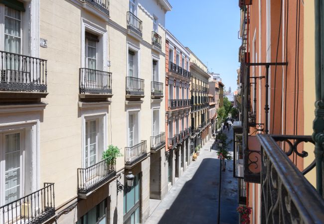 Lägenhet i Madrid - Apartamento de 1 dormitorio con balcón en el corazón de Madrid.Temporal Lägenhet i Madrid - Apartamento de 1 dormitorio con balcón en el corazón de Madrid.Temporal
