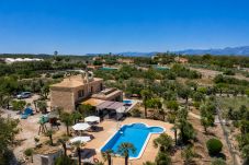 Villa i Can Picafort - Palmitos 2 by Mallorca Charme