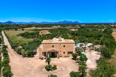 Villa i Can Picafort - Palmitos 2 by Mallorca Charme