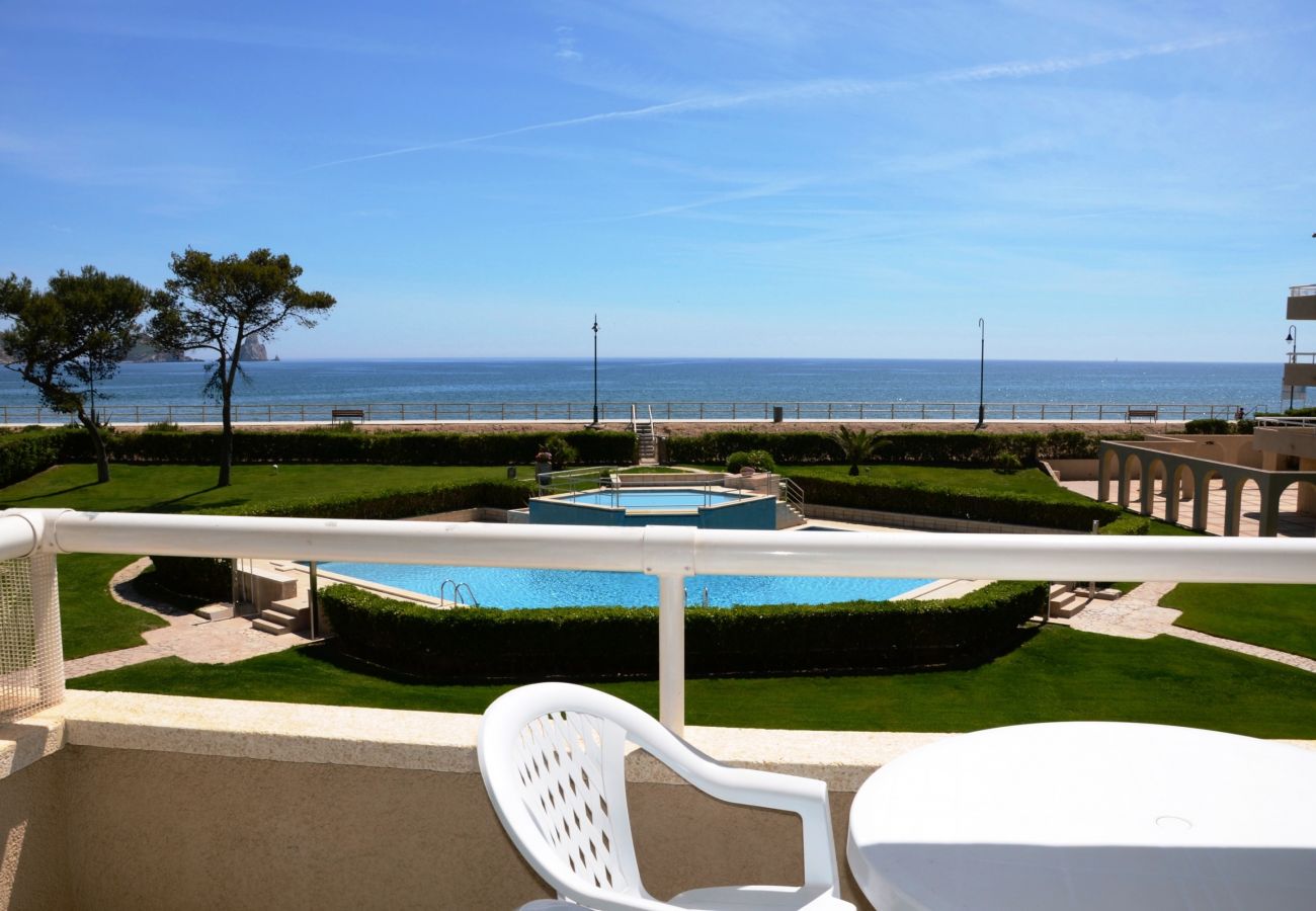 工作室 在 Estartit - ARGONAVIS 206