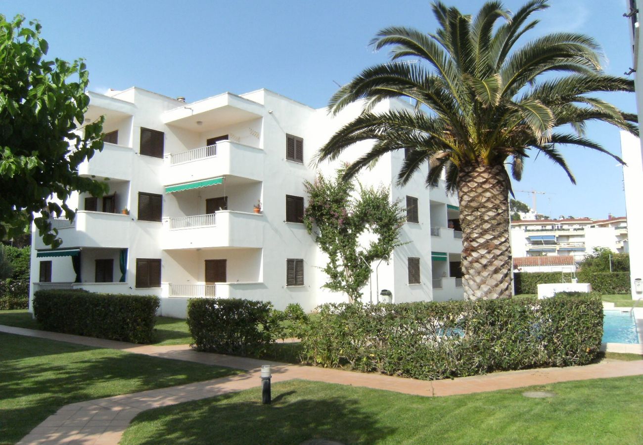 公寓 在 L'Escala - APARTAMENTOS CALA MONTGO 33 公寓 在 L'Escala - APARTAMENTOS CALA MONTGO 33