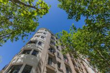 公寓 在 Barcelona - 家庭CIUTADELLA PARK，巴塞罗那有4间卧室的大公寓