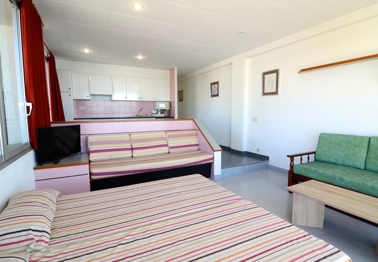 工作室 在 Estartit - NAUTIC ESTUDI BX-4 工作室 在 Estartit - NAUTIC ESTUDI BX-4