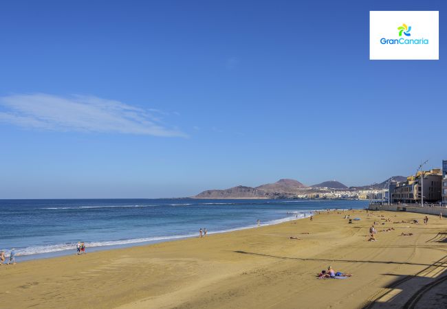 工作室 在 Las Palmas de Gran Canaria - Comfy on the beach By CanariasGetaway 工作室 在 Las Palmas de Gran Canaria - Comfy on the beach By CanariasGetaway