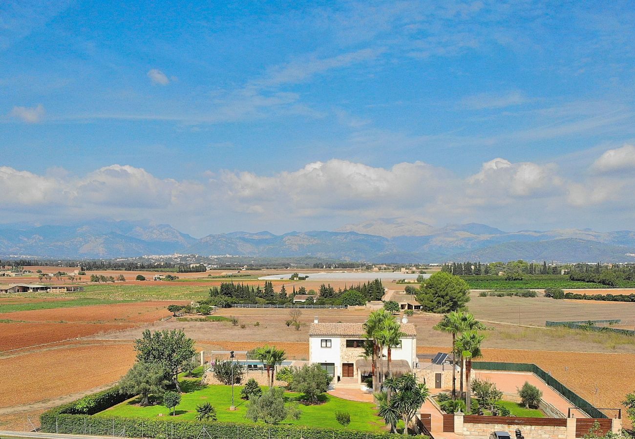 庄园 在 Muro - Son Sastre 024 lujosa villa con gran piscina, aire acondicionado, jardín y terraza 庄园 在 Muro - Son Sastre 024 lujosa villa con gran piscina, aire acondicionado, jardín y terraza