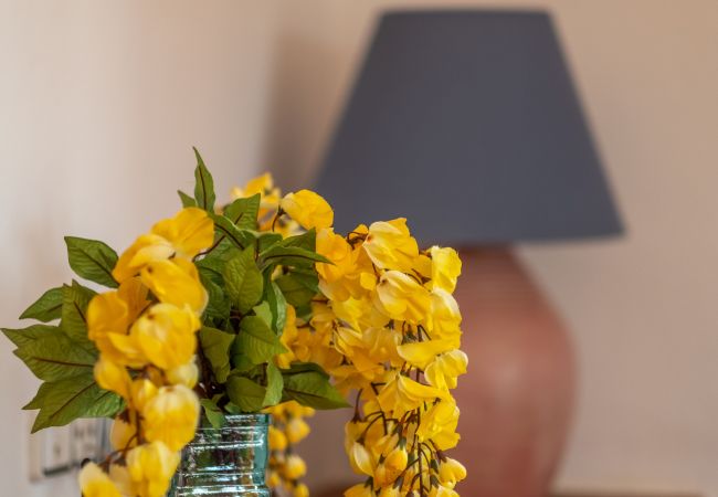 庄园 在 Sa Pobla - Can Mussol 040 magnifica villa con piscina privada, gran jardín, zona infantil, billar, ping pong y WiFi 庄园 在 Sa Pobla - Can Mussol 040 magnifica villa con piscina privada, gran jardín, zona infantil, billar, ping pong y WiFi