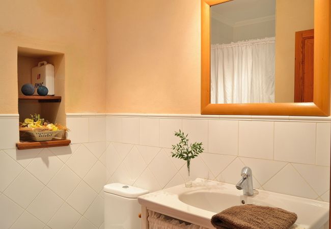 庄园 在 Llubi - Son Barraquer 047 tradicional finca con piscina y magnífico jardín 庄园 在 Llubi - Son Barraquer 047 tradicional finca con piscina y magnífico jardín