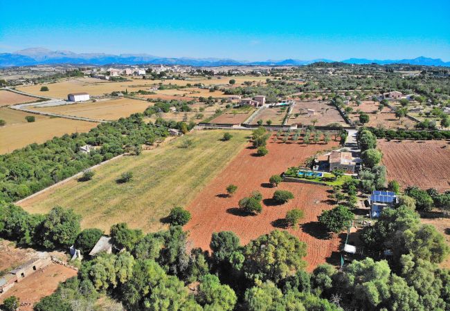 庄园 在 Santa Margalida - Es Bosquerró 054 fantástica finca con piscina vallada, zona infantil, terraza, barbacoa y WiFi 庄园 在 Santa Margalida - Es Bosquerró 054 fantástica finca con piscina vallada, zona infantil, terraza, barbacoa y WiFi