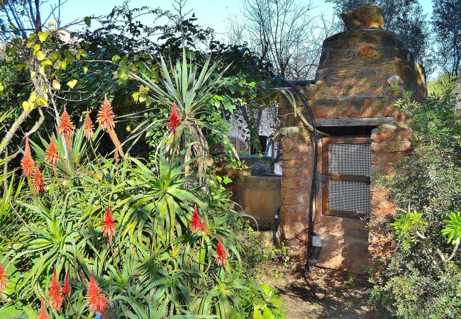 庄园 在 Alcudia - Els Olivers 138 finca rústica con piscina privada, aire acondicionado, terraza y barbacoa 庄园 在 Alcudia - Els Olivers 138 finca rústica con piscina privada, aire acondicionado, terraza y barbacoa