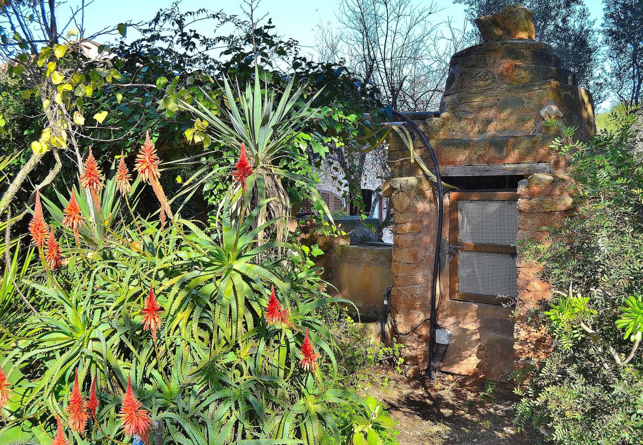 庄园 在 Alcudia - Els Olivers 138 finca rústica con piscina privada, aire acondicionado, terraza y barbacoa 庄园 在 Alcudia - Els Olivers 138 finca rústica con piscina privada, aire acondicionado, terraza y barbacoa