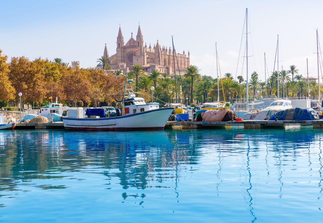 房屋 在 Muro - Cas Barber 226 fantástica villa con piscina privada, terraza, barbacoa y WiFi 房屋 在 Muro - Cas Barber 226 fantástica villa con piscina privada, terraza, barbacoa y WiFi